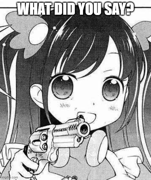 take it back lol | WHAT DID YOU SAY? | image tagged in anime girl with a gun | made w/ Imgflip meme maker