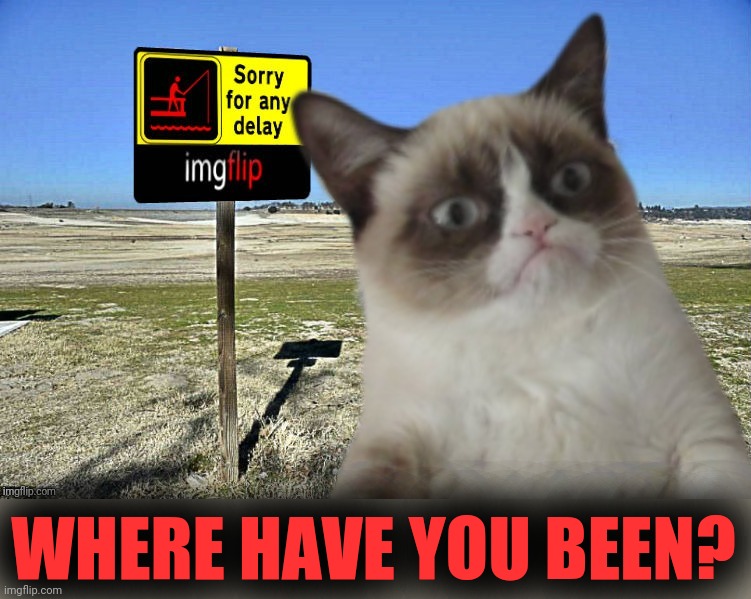 Grumpy Cat imgflip | WHERE HAVE YOU BEEN? | image tagged in grumpy cat imgflip | made w/ Imgflip meme maker