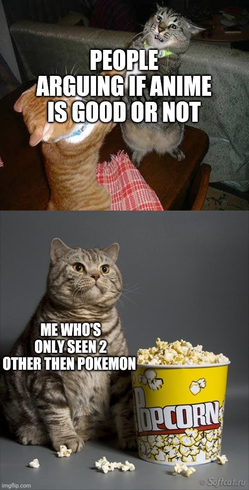 Cat watching other cats fight | PEOPLE ARGUING IF ANIME IS GOOD OR NOT; ME WHO'S ONLY SEEN 2 OTHER THEN POKEMON | image tagged in cat watching other cats fight | made w/ Imgflip meme maker