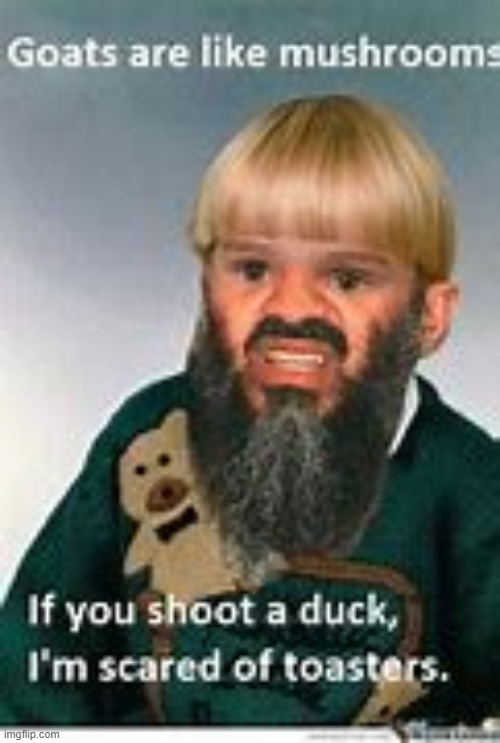 made w/ Imgflip meme maker
