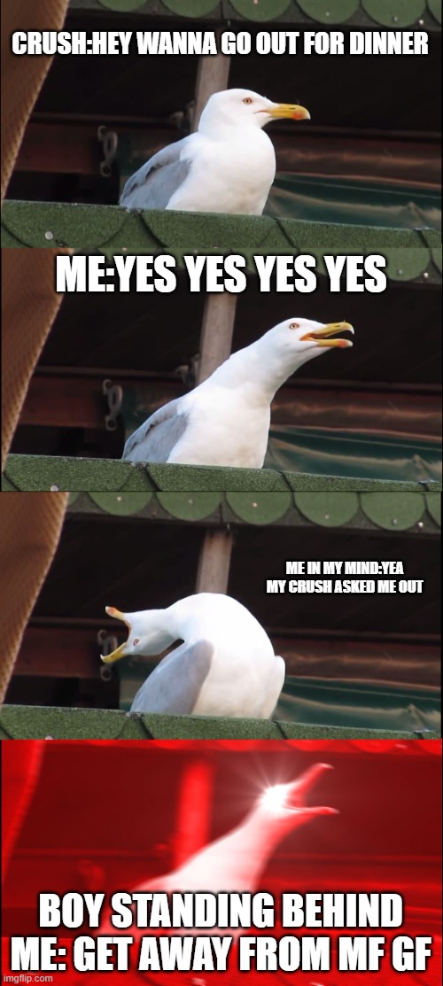 Inhaling Seagull Meme | CRUSH:HEY WANNA GO OUT FOR DINNER; ME:YES YES YES YES; ME IN MY MIND:YEA MY CRUSH ASKED ME OUT; BOY STANDING BEHIND ME: GET AWAY FROM MF GF | image tagged in memes,inhaling seagull | made w/ Imgflip meme maker