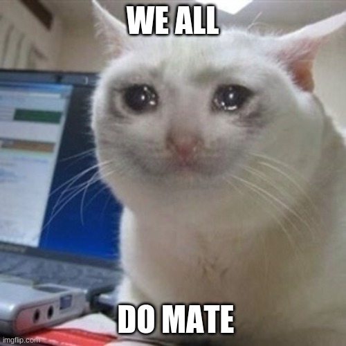 Crying cat | WE ALL DO MATE | image tagged in crying cat | made w/ Imgflip meme maker