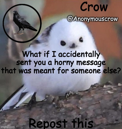 Anonymouscrow announce | What if I accidentally sent you a horny message that was meant for someone else? Repost this | image tagged in anonymouscrow announce | made w/ Imgflip meme maker