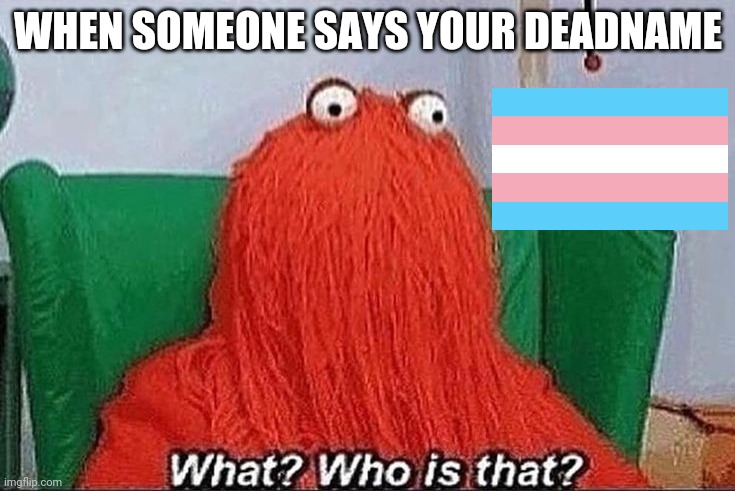 :'( | WHEN SOMEONE SAYS YOUR DEADNAME | image tagged in dhmias | made w/ Imgflip meme maker