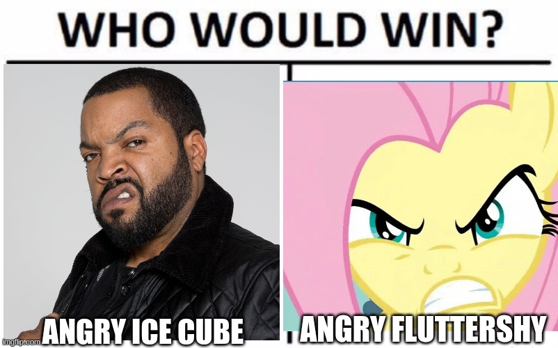 ANGRY ICE CUBE ANGRY FLUTTERSHY | made w/ Imgflip meme maker