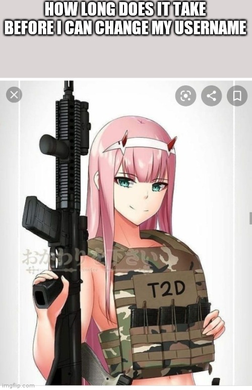 Yall like my template, read the image tag | HOW LONG DOES IT TAKE BEFORE I CAN CHANGE MY USERNAME | image tagged in 2nd amendment zero two | made w/ Imgflip meme maker