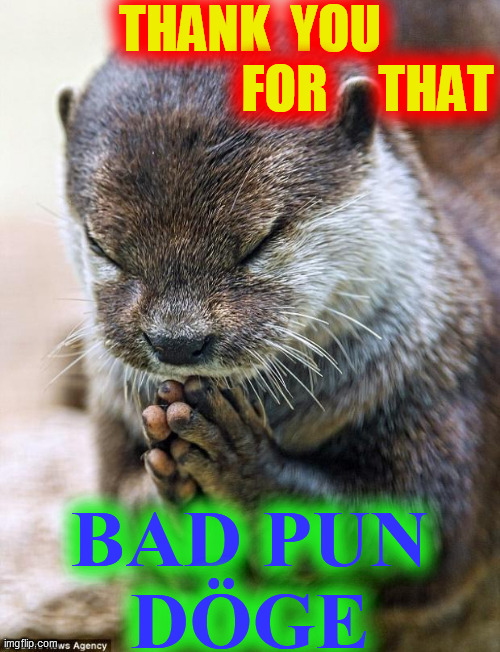 Thank you Lord Otter | THANK  YOU
                       FOR     THAT BAD PUN
DÖGE | image tagged in thank you lord otter | made w/ Imgflip meme maker