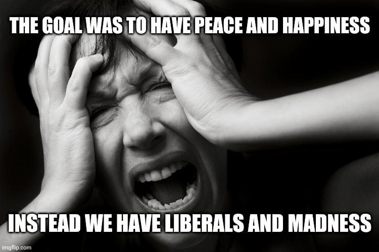 No Peace, No Happiness | THE GOAL WAS TO HAVE PEACE AND HAPPINESS; INSTEAD WE HAVE LIBERALS AND MADNESS | image tagged in oh no grief panic | made w/ Imgflip meme maker