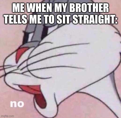 No | ME WHEN MY BROTHER TELLS ME TO SIT STRAIGHT: | image tagged in no | made w/ Imgflip meme maker