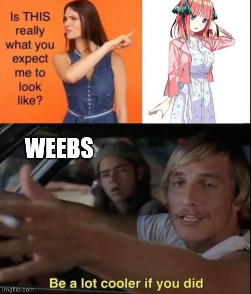 I just want an anime girls not some 3d ugly girl | WEEBS | image tagged in it'd be a lot cooler if you did,anime,anime meme,funny meme | made w/ Imgflip meme maker