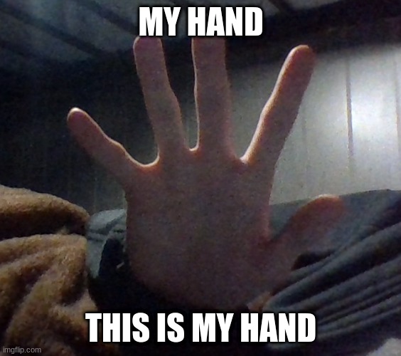 MY HAND; THIS IS MY HAND | image tagged in hand reveal | made w/ Imgflip meme maker