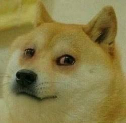 High Quality Sad and tired doge Blank Meme Template