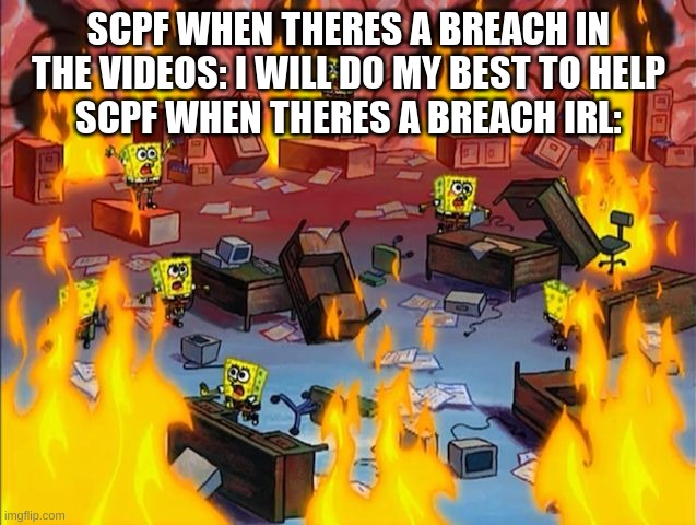 AAAAAAAA | SCPF WHEN THERES A BREACH IN THE VIDEOS: I WILL DO MY BEST TO HELP
SCPF WHEN THERES A BREACH IRL: | image tagged in spongebob fire | made w/ Imgflip meme maker