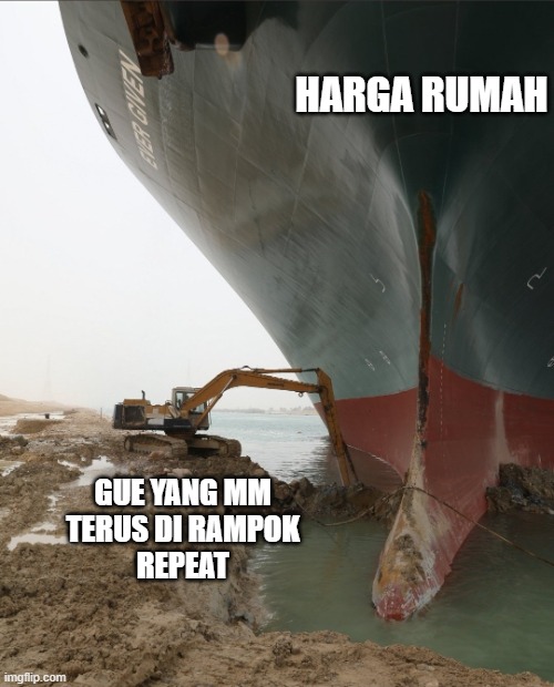 55qzbw.jpg