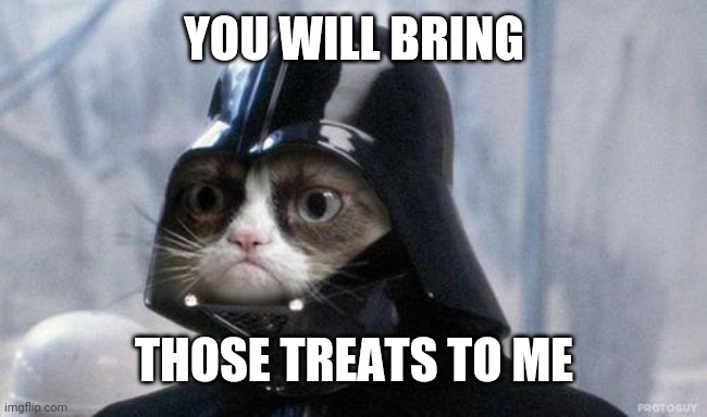 Grumpy Cat Star Wars | YOU WILL BRING; THOSE TREATS TO ME | image tagged in memes,grumpy cat star wars,grumpy cat | made w/ Imgflip meme maker