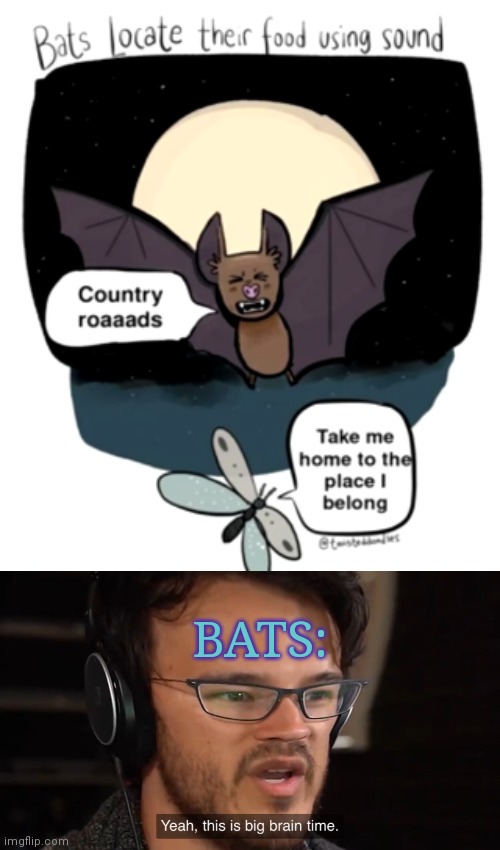 Smrt | BATS: | image tagged in yeah this is big brain time,bats,genius,smrt,funny,memes | made w/ Imgflip meme maker