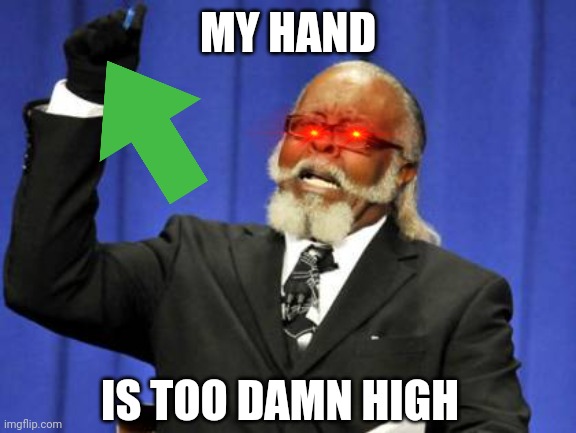 Uhhhhhh what??? | MY HAND; IS TOO DAMN HIGH | image tagged in memes,too damn high | made w/ Imgflip meme maker