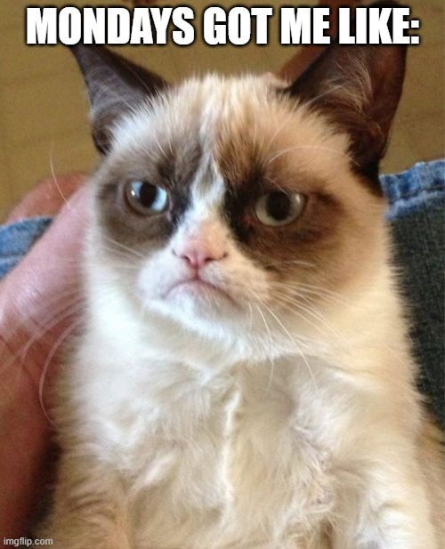 The cat is pissed off! | MONDAYS GOT ME LIKE: | image tagged in memes,grumpy cat,cats,funny | made w/ Imgflip meme maker