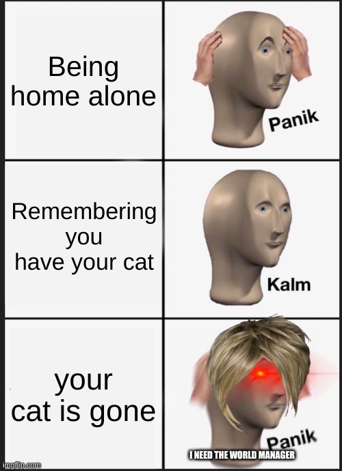 Panik Kalm Panik Meme | Being home alone; Remembering you have your cat; your cat is gone; I NEED THE WORLD MANAGER | image tagged in memes,panik kalm panik | made w/ Imgflip meme maker