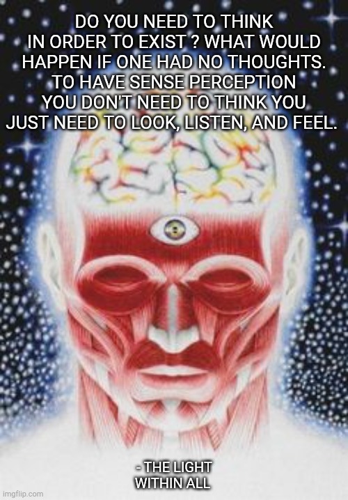 DO YOU NEED TO THINK IN ORDER TO EXIST ? WHAT WOULD HAPPEN IF ONE HAD NO THOUGHTS. TO HAVE SENSE PERCEPTION YOU DON'T NEED TO THINK YOU JUST NEED TO LOOK, LISTEN, AND FEEL. - THE LIGHT WITHIN ALL | made w/ Imgflip meme maker