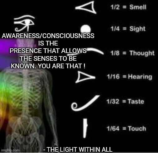 AWARENESS/CONSCIOUSNESS IS THE PRESENCE THAT ALLOWS THE SENSES TO BE KNOWN. YOU ARE THAT ! - THE LIGHT WITHIN ALL | made w/ Imgflip meme maker