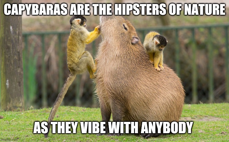 Somthing to think about | CAPYBARAS ARE THE HIPSTERS OF NATURE; AS THEY VIBE WITH ANYBODY | image tagged in capybara,memes,relationships | made w/ Imgflip meme maker