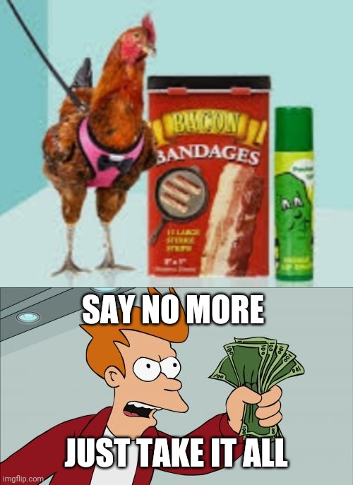 Sorry for it being blurry | SAY NO MORE; JUST TAKE IT ALL | image tagged in memes,shut up and take my money fry | made w/ Imgflip meme maker