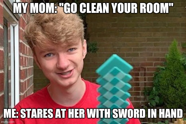 bark bark | MY MOM: "GO CLEAN YOUR ROOM"; ME: STARES AT HER WITH SWORD IN HAND | image tagged in i will stab you | made w/ Imgflip meme maker