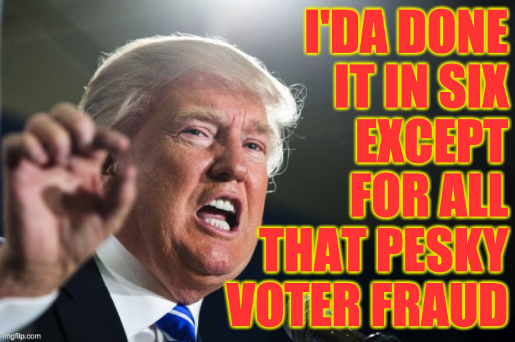donald trump | I'DA DONE
IT IN SIX
EXCEPT
FOR ALL
THAT PESKY
VOTER FRAUD | image tagged in donald trump | made w/ Imgflip meme maker