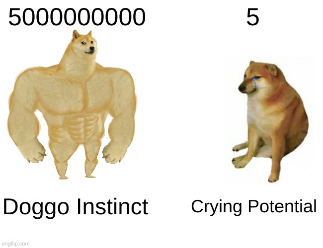 The battle of the Doges | 5000000000; 5; Doggo Instinct; Crying Potential | image tagged in memes,buff doge vs cheems | made w/ Imgflip meme maker