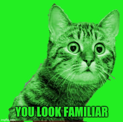 WTF RayCat sticker | YOU LOOK FAMILIAR | image tagged in wtf raycat sticker | made w/ Imgflip meme maker