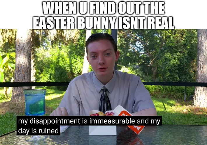 easter | WHEN U FIND OUT THE EASTER BUNNY ISNT REAL | image tagged in my disappointment is immeasurable | made w/ Imgflip meme maker