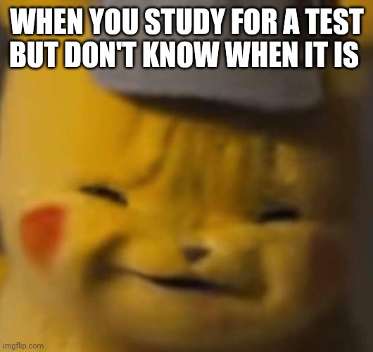 Me in a nutshell | WHEN YOU STUDY FOR A TEST BUT DON'T KNOW WHEN IT IS | image tagged in pika,funny,lol | made w/ Imgflip meme maker