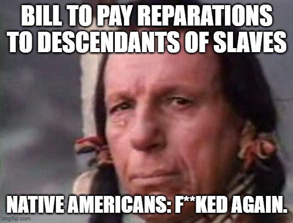 House panel advances bill that would pay reparations to descendants of slaves | BILL TO PAY REPARATIONS TO DESCENDANTS OF SLAVES; NATIVE AMERICANS: F**KED AGAIN. | image tagged in native american single tear,slave reparations,reparations,blacks,native americans,people of color | made w/ Imgflip meme maker