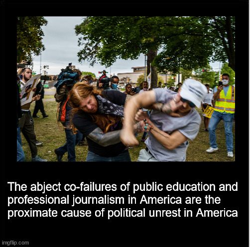 Political unrest is America flows from failures of the press and public schools | The abject co-failures of public education and
professional journalism in America are the 
proximate cause of political unrest in America | image tagged in politics,public education,journalism | made w/ Imgflip meme maker