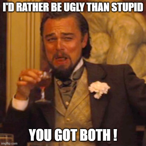 Laughing Leo | I'D RATHER BE UGLY THAN STUPID; YOU GOT BOTH ! | image tagged in memes,laughing leo | made w/ Imgflip meme maker