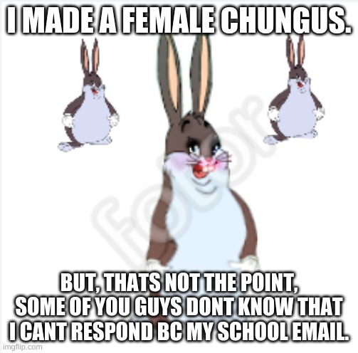 I MADE A FEMALE CHUNGUS. BUT, THATS NOT THE POINT, SOME OF YOU GUYS DONT KNOW THAT I CANT RESPOND BC MY SCHOOL EMAIL. | made w/ Imgflip meme maker