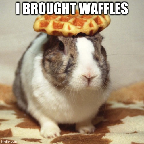 Bunny waffle |  I BROUGHT WAFFLES | image tagged in bunny waffle | made w/ Imgflip meme maker