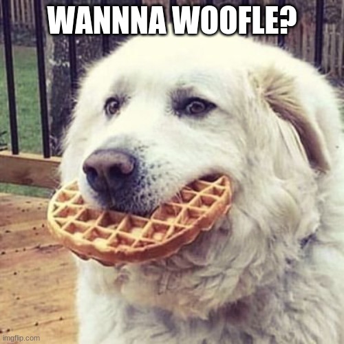 woofle |  WANNNA WOOFLE? | image tagged in woofle | made w/ Imgflip meme maker