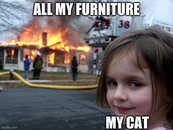 Disaster Girl Meme | ALL MY FURNITURE; MY CAT | image tagged in memes,disaster girl | made w/ Imgflip meme maker