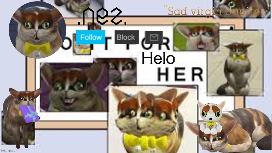 Spleens | Helo | image tagged in spleens | made w/ Imgflip meme maker