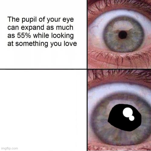 Eye Pupil (Shrinking) Template | image tagged in eye pupil shrinking template | made w/ Imgflip meme maker