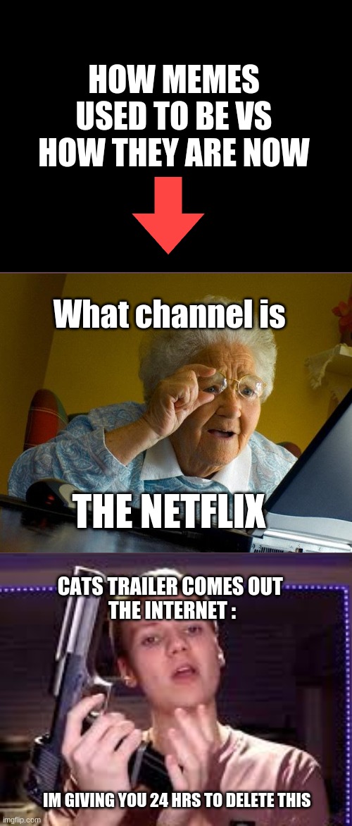 HOW MEMES USED TO BE VS HOW THEY ARE NOW; What channel is; THE NETFLIX; CATS TRAILER COMES OUT 
THE INTERNET :; IM GIVING YOU 24 HRS TO DELETE THIS | image tagged in memes | made w/ Imgflip meme maker