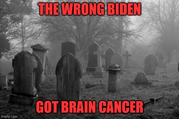 Goth cemetary | THE WRONG BIDEN GOT BRAIN CANCER | image tagged in goth cemetary | made w/ Imgflip meme maker