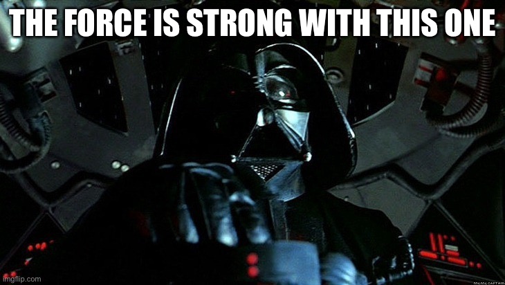 the force is strong with this one | THE FORCE IS STRONG WITH THIS ONE | image tagged in the force is strong with this one | made w/ Imgflip meme maker