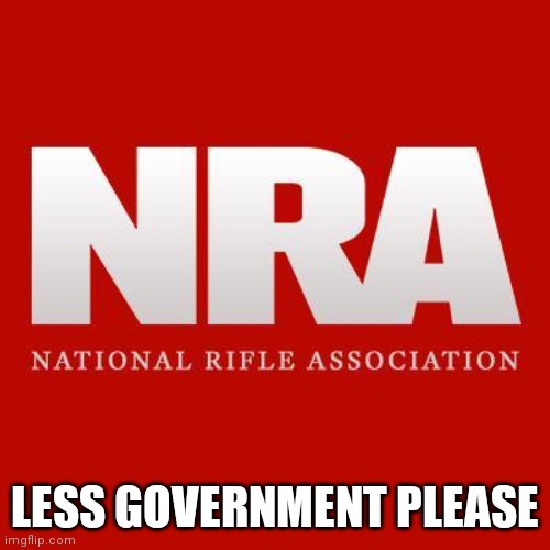 Nra | LESS GOVERNMENT PLEASE | image tagged in nra | made w/ Imgflip meme maker