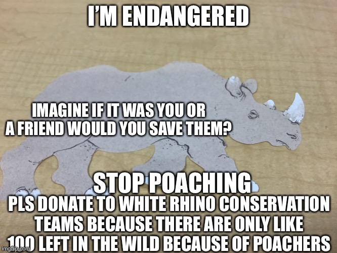 I’m endangered | I’M ENDANGERED; IMAGINE IF IT WAS YOU OR A FRIEND WOULD YOU SAVE THEM? STOP POACHING; PLS DONATE TO WHITE RHINO CONSERVATION TEAMS BECAUSE THERE ARE ONLY LIKE 100 LEFT IN THE WILD BECAUSE OF POACHERS | image tagged in rhino | made w/ Imgflip meme maker