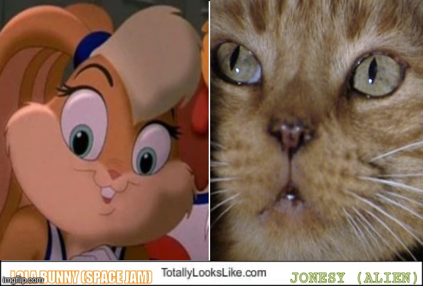 Cute Animal Face | JONESY (ALIEN); LOLA BUNNY (SPACE JAM) | image tagged in totally looks like,lola,lola bunny,looney tunes,cat,cute cat | made w/ Imgflip meme maker