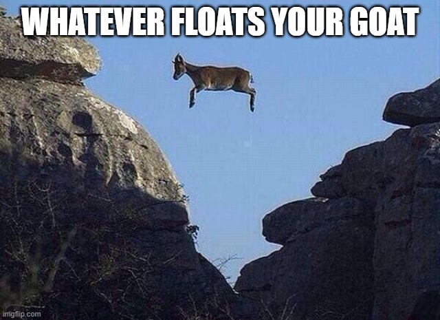 I wont do that until goats fl- WHAT THE HELL IS THAT IN THE AIR | WHATEVER FLOATS YOUR GOAT | image tagged in whatever floats your goat,goat fly | made w/ Imgflip meme maker