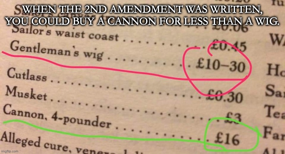 weapons of war | WHEN THE 2ND AMENDMENT WAS WRITTEN,
YOU COULD BUY A CANNON FOR LESS THAN A WIG. | image tagged in 2nd amendment,history | made w/ Imgflip meme maker